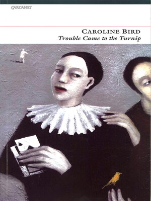 cover image of Trouble Came to the Turnip